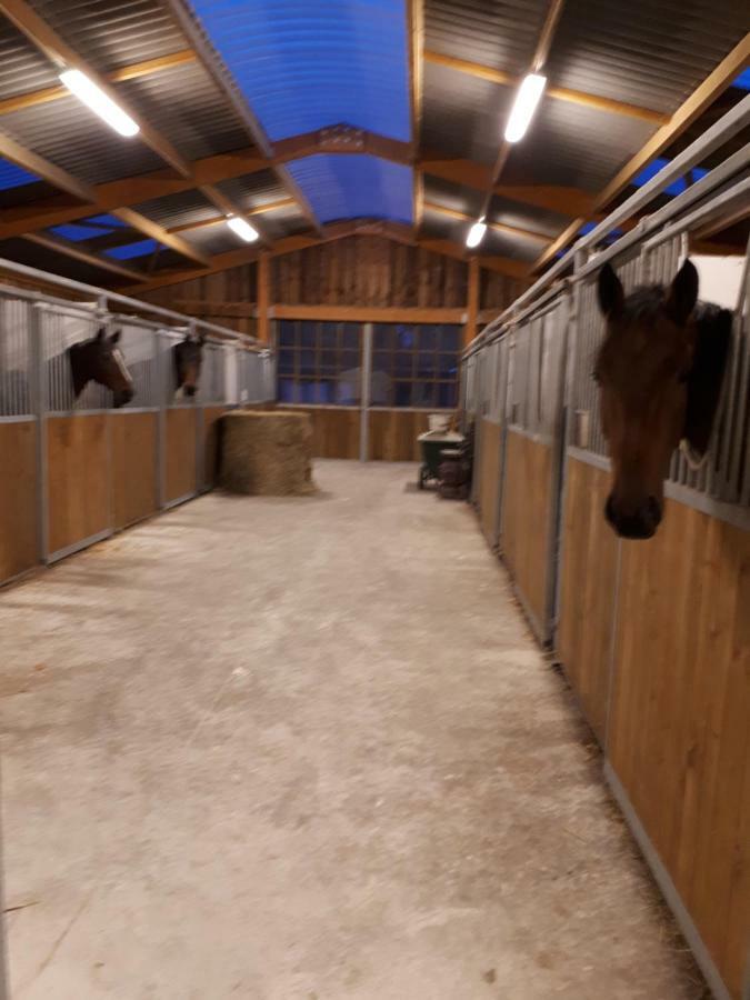 Gite Du Haras De Vales Moult Buitenkant foto